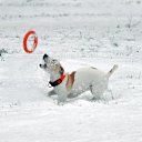 ���� Leonid, �����-���������, 39 ��� - ��������� 22 ����� 2012 � ������ ������