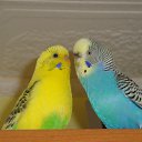 ���� ����, �������, 38 ��� - ��������� 18 ���� 2013 � ������ ���� ����������