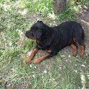 ���� ������ ������, ���������, 60 ��� - ��������� 6 ���� 2012