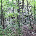 ���� ���������, �������������, 37 ��� - ��������� 17 �������� 2011 � ������ ���� ����������