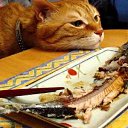 ����� �������� ����������� �������! �� ������� ���� ������� �����