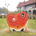 ���� �@�@�@, ������, 49 ��� - ��������� 30 ������ 2011 � ������ ���� ������