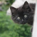 ���� Igor, ��������, 65 ��� - ��������� 8 ���� 2013 � ������ ���� ����������