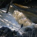 ���� �������, ������, 46 ��� - ��������� 25 �������� 2011 � ������ �������