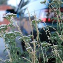 ���� �����, ��������� - ��������� 21 ���� 2013 � ������ ���� ����������