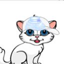 ���� ������-������� ��� ���� �����, ��������, 85 ��� - ��������� 6 ��� 2010 � ������ ��� �������