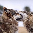 ���� �����, ������, 39 ��� - ��������� 16 ������� 2010 � ������ ���� ����������