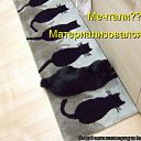 ���� ��������, �������� - ��������� 23 ����� 2012 � ������ �������� ��������