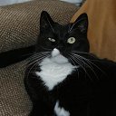 ���� ������ ��������, �����-���������, 45 ��� - ��������� 21 ������� 2012 � ������ ���� ����������