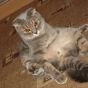 ���� ������, ������, 62 ���� - ��������� 29 ������� 2011