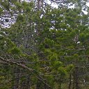 ���� ��������, �������������, 64 ���� - ��������� 29 ������� 2011 � ������ ��� ������