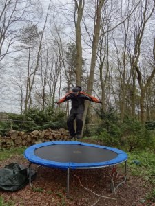 Davud, �����������, 42 ����