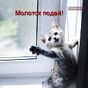���� �����, ����� ��, 40 ��� - ��������� 30 ������ 2013 � ������ ���� ����������