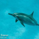 ���� Mr_h, �������, 47 ��� - ��������� 20 �������� 2012 � ������ �������� � ������� ������� �����