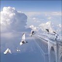 ���� �����, ���������, 45 ��� - ��������� 9 ������ 2010 � ������ ����������