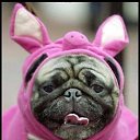 ���� �������, �����-���������, 59 ��� - ��������� 5 ������ 2012 � ������ �������