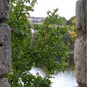 ���� �����, ������ - ��������� 18 ������ 2011 � ������ �" ***** "�