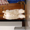 ���� �����, ������, 34 ���� - ��������� 21 ������� 2010 � ������ ���� ����������