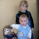 ���� �������, �����, 60 ��� - ��������� 28 ��� 2010