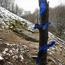 �������� �� �������� � ����������� ���������� ��� ���������� ������� �� ������� �����������Ż