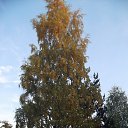  ,  -  22  2012   * ..*