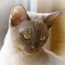 ���� ����, ������������, 21 ��� - ��������� 1 ��� 2013