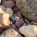 ���� ���, ������ - ��������� 26 �������� 2010 � ������ �������, ����-2010�