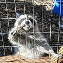 ���� ���, ������� ���� - ��������� 9 ������ 2011 � ������ �� � ��� ������� �����