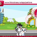  , , 45  -  12  2010   PetLove