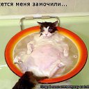 ���� �����, ������ �����, 50 ��� - ��������� 2 ������ 2009 � ������ ��������� ��������