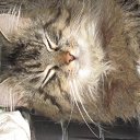 ���� ������, �����������, 55 ��� - ��������� 9 ����� 2011 � ������ �������