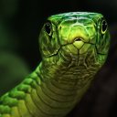 ���� ������, ������� - ��������� 20 ������� 2012 � ������ ������ ��������