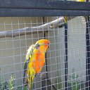 ���� ������, ������, 48 ��� - ��������� 22 ������ 2009