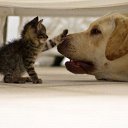 ���� ����� - ���������� ��������!!!, �����������, 56 ��� - ��������� 4 ������� 2009 � ������ ����������� :-)�