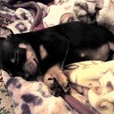  , , 52  -  23  2010    !!!