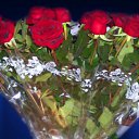 ���� Akemi, �����������, 37 ��� - ��������� 31 ��� 2012 � ������ �������