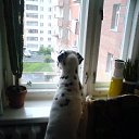 ���� Irixa, ���������, 57 ��� - ��������� 30 �������� 2009 � ������ �������