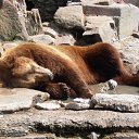 ���� �����)), �����������, 46 ��� - ��������� 18 ������� 2012