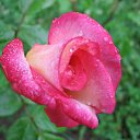 ���� Aleksandr, ���������, 46 ��� - ��������� 6 ����� 2010 � ������ ��������� ��������