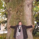   ( ), , 64  -  12  2012    2012