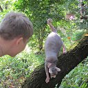 ���� �����, ������ - ��������� 10 �������� 2012 � ������ ���������