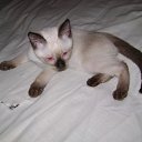 ���� �����, ��������, 48 ��� - ��������� 7 ������� 2011 � ������ �����