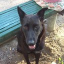 ���� ����, �����������, 65 ��� - ��������� 9 ������� 2010