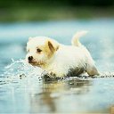 ���� ����� - ���������� ��������!!!, �����������, 56 ��� - ��������� 13 ������� 2009 � ������ ��������� (�����)�