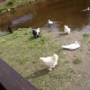 ���� �����, ������������ - ��������� 23 �������� 2012 � ������ ����������