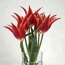 ���� Smile, ������, 55 ��� - ��������� 20 ������ 2010 � ������ ���� ����� � ������