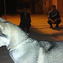 ���� Sqe, ������, 36 ��� - ��������� 22 ������� 2013