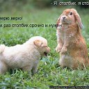 ���� ����, ����������� - ��������� 9 ������� 2010 � ������ ������� ���� �������)�