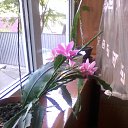 ���� �������, �����-��������� - ��������� 24 ��� 2013 � ������ ���� ����������