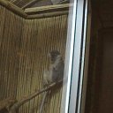 ���� ���, �����-���������, 40 ��� - ��������� 12 �������� 2012 � ������ �����